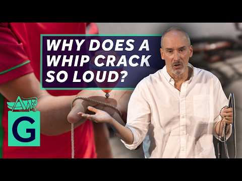 Cracking the Whip: Strings, Chains and Dinosaurs - Alain Goriely