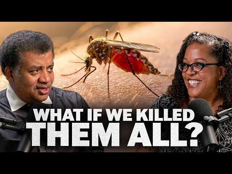 It’s A Bug’s Life, We’re Just Living In It, with Jessica Ware