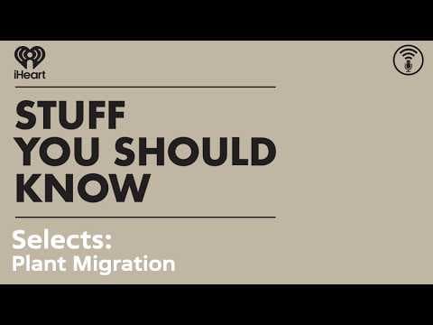 Selects: Plant Migration | STUFF YOU SHOULD KNOW