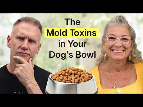 Dr. Judy Morgan: What Kibble Does to Your Dog's Liver | TUH #298