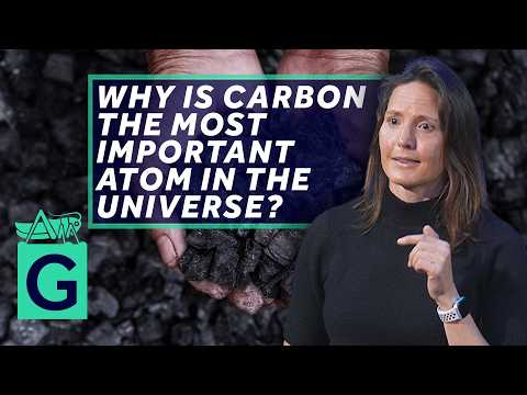 Carbon: Our Flexible Friend that Built the Natural World - Helen Czerski