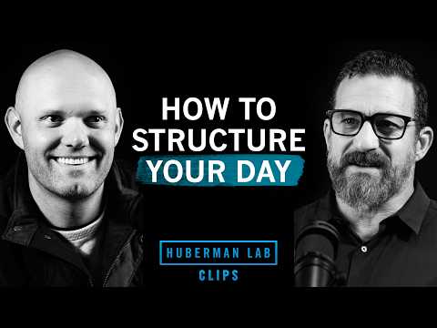 Habit Stacking: Structure Your Day for Peak Focus | James Clear & Dr. Andrew Huberman