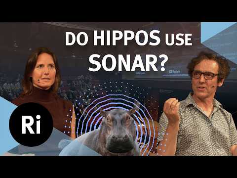 Sound and Music: Physics or Convention? | Helen Czerski & Philip Ball